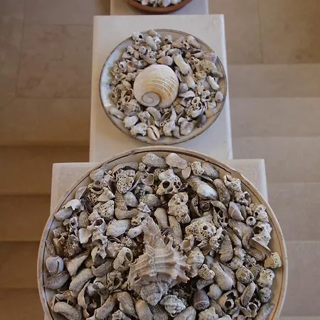 Principe Nocleg ze śniadaniem Bari